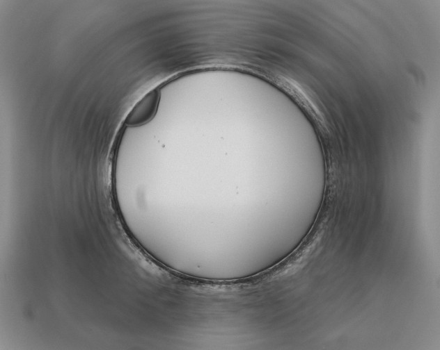 X0000112760900200909101528