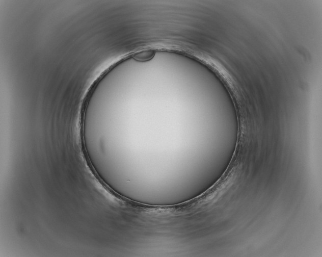 X0000112760902200909101528
