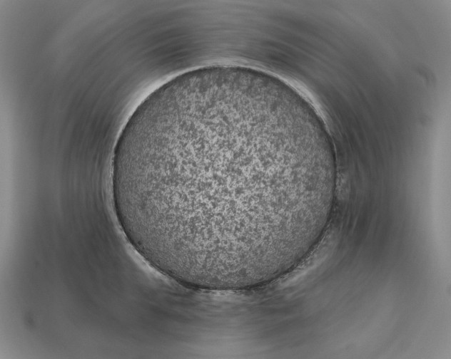 X0000112760903200909101528