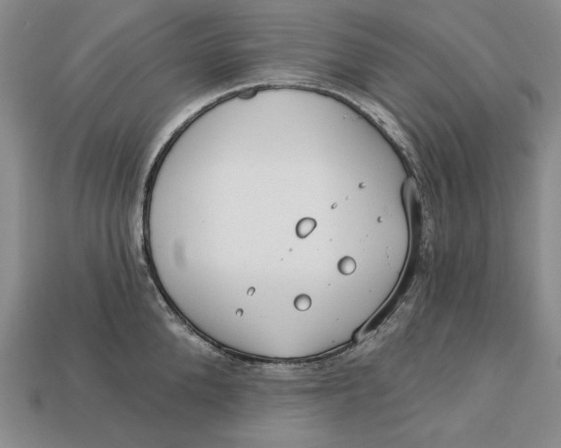 X0000112760904200909101528