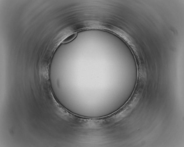 X0000112760905200909101528