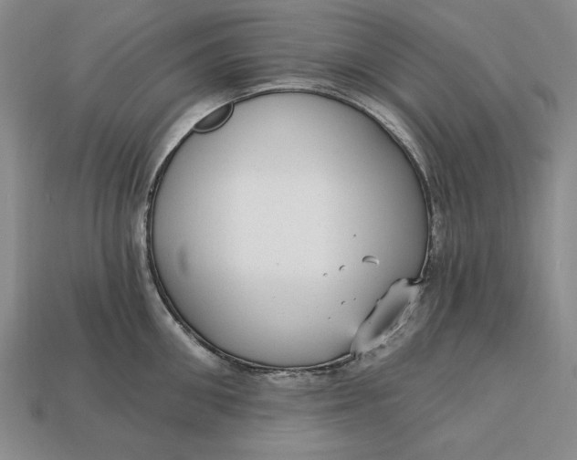 X0000112760906200909101528