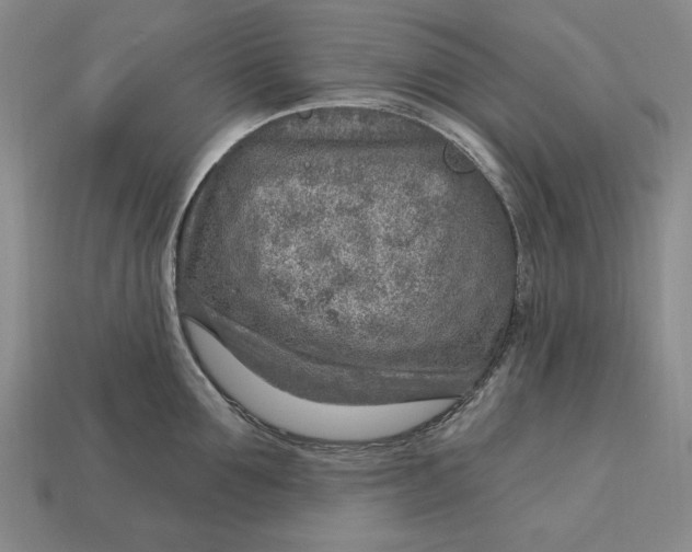 X0000112760907200909101528