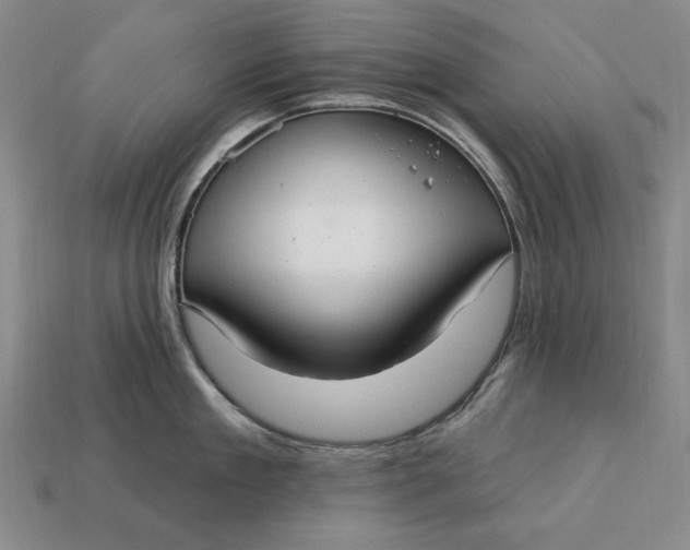 X0000112760909200909101528