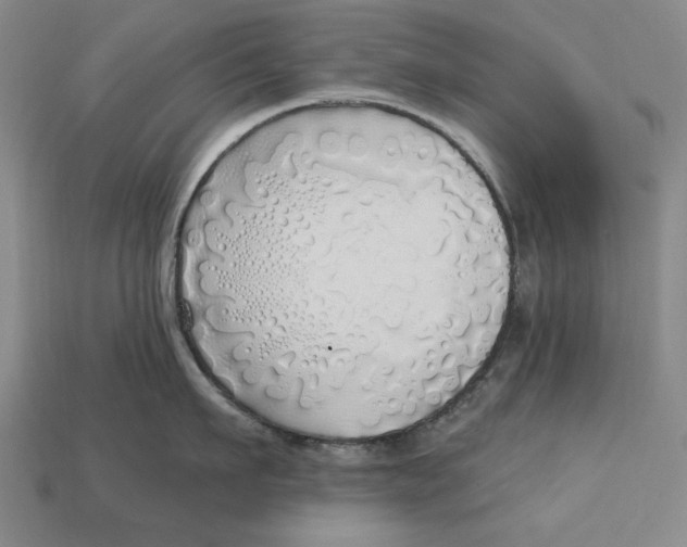 X0000112760911200909101527
