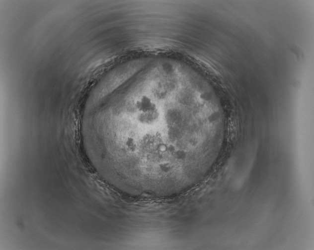 X0000112760917200909101527