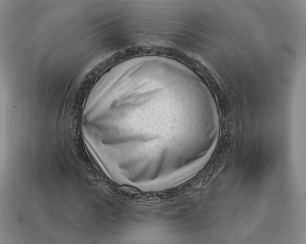 X0000112760919200909101527