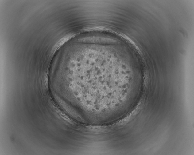 X0000112760921200909101527