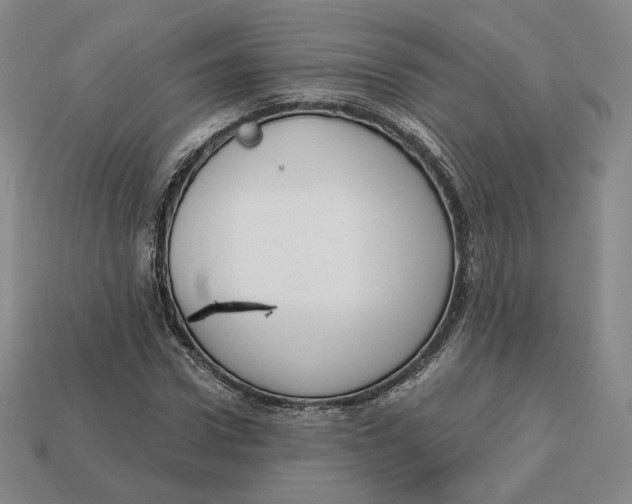 X0000112760922200909101527