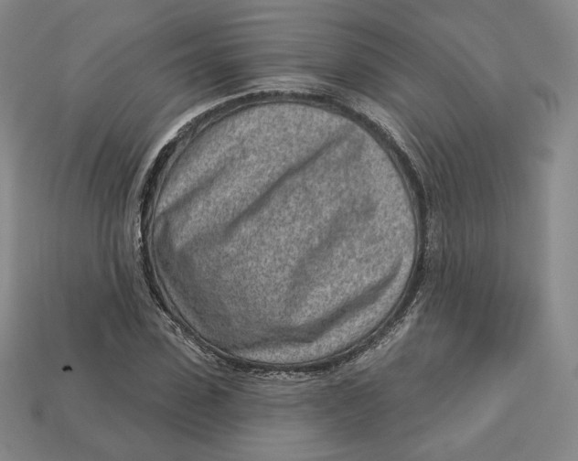 X0000112760923200909101527