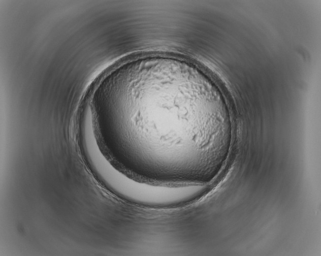 X0000112760925200909101527
