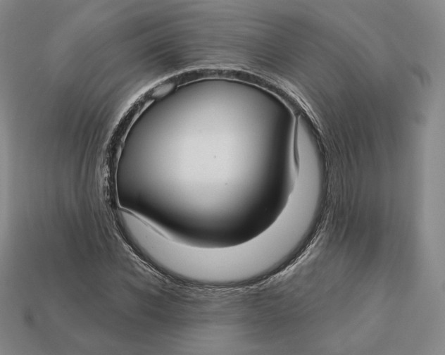 X0000112760926200909101527