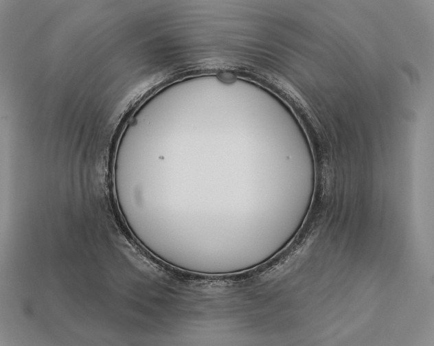 X0000112760930200909101527
