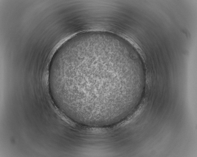 X0000112760933200909101527