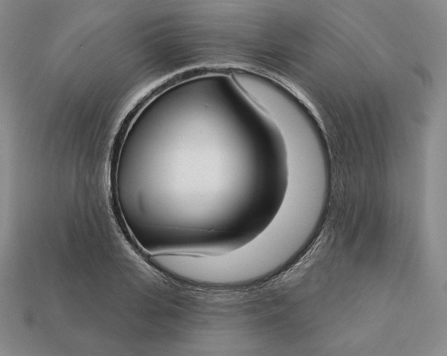 X0000112760935200909101527
