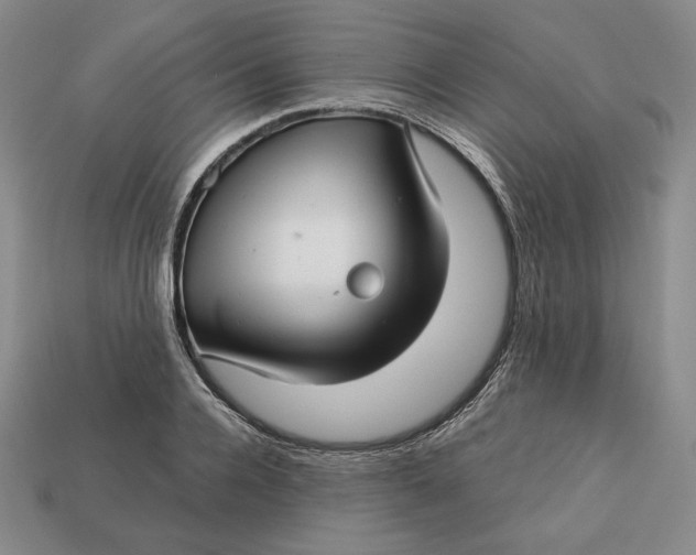 X0000112760936200909101527