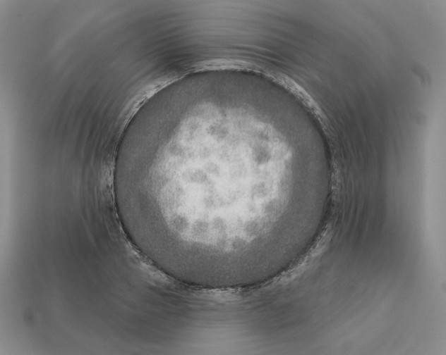 X0000112760937200909101527