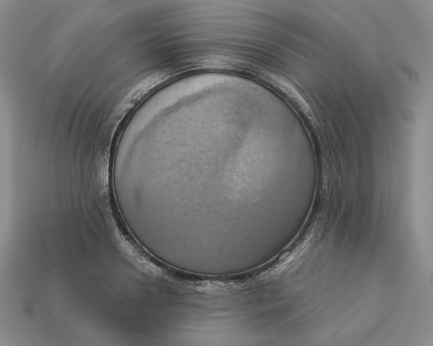 X0000112760938200909101527