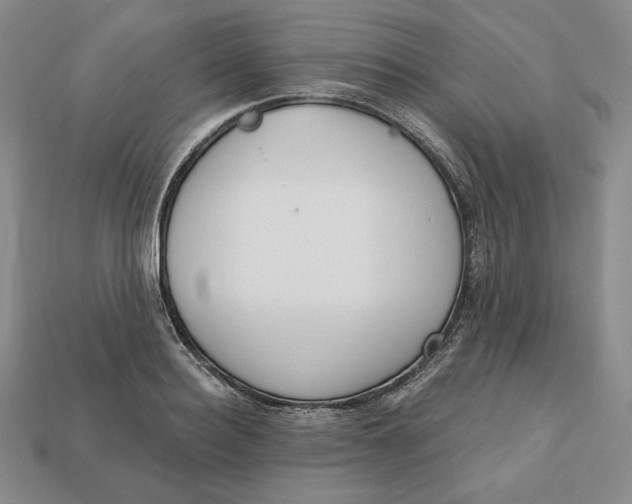 X0000112760940200909101527