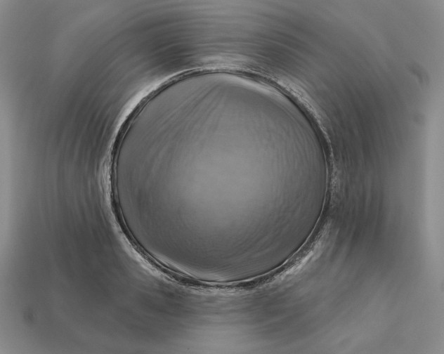 X0000112760941200909101527
