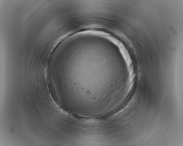 X0000112760945200909101527
