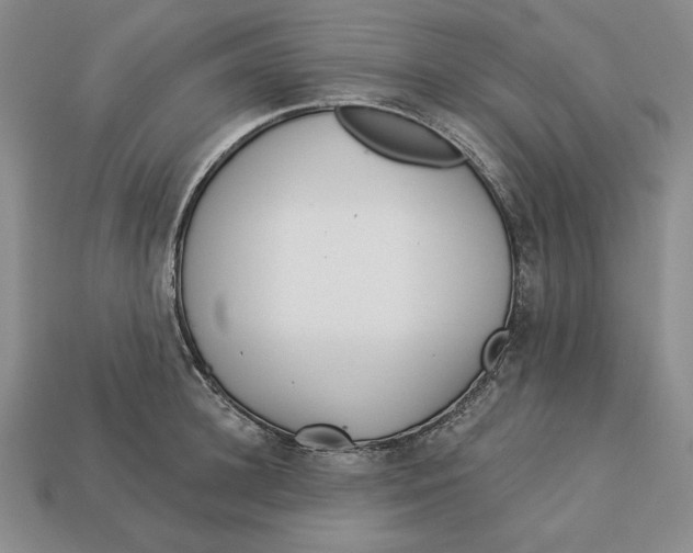 X0000112760948200909101527
