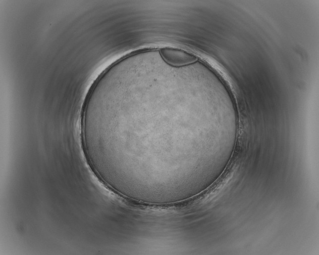 X0000112760951200909101527
