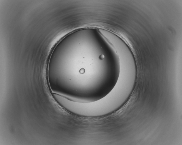 X0000112760952200909101527