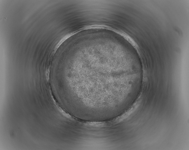 X0000112760953200909101527