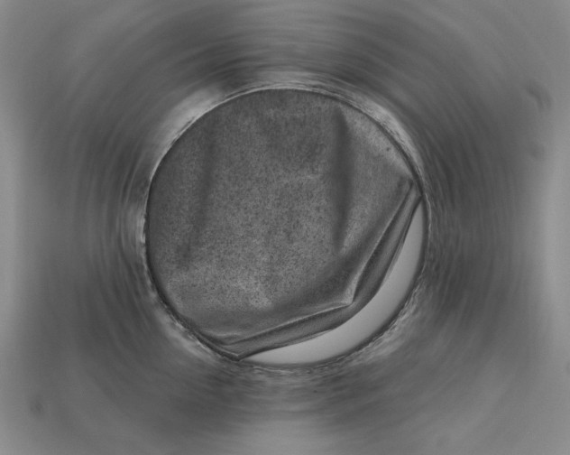 X0000112760954200909101527
