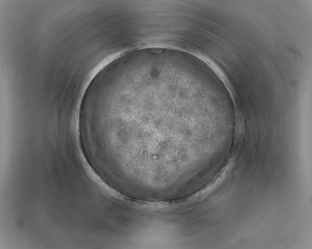 X0000112760957200909101527