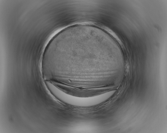 X0000112760959200909101527