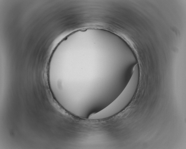 X0000112760960200909101527