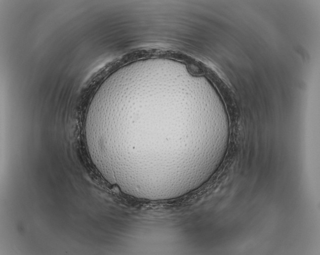 X0000112760967200909101527