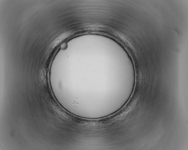 X0000112760970200909101527