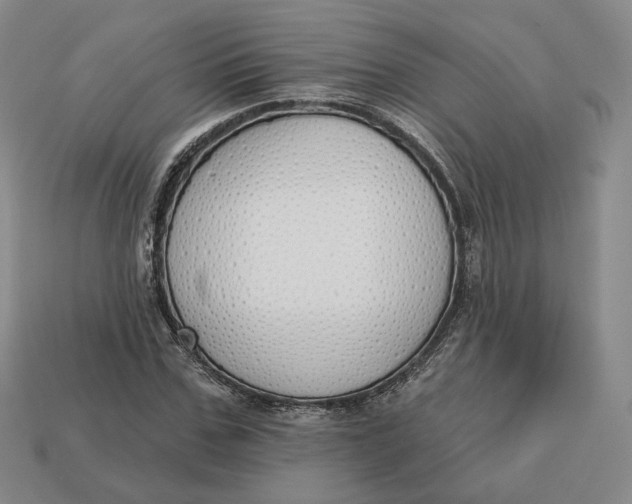 X0000112760971200909101527