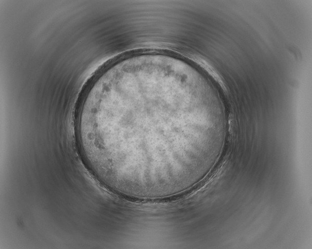 X0000112760972200909101527