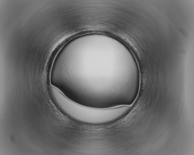 X0000112760975200909101527
