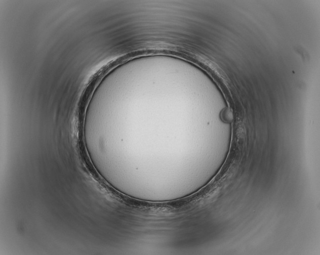 X0000112760979200909101527