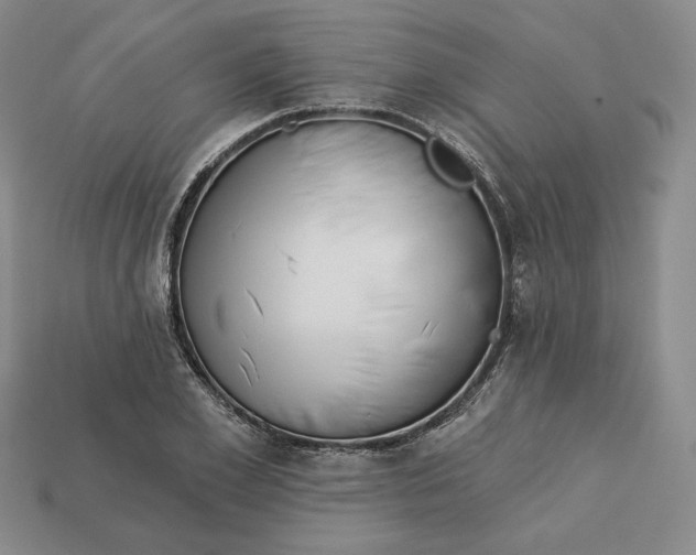 X0000112760981200909101527