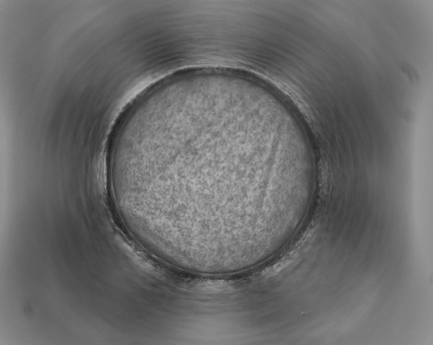 X0000112760982200909101527