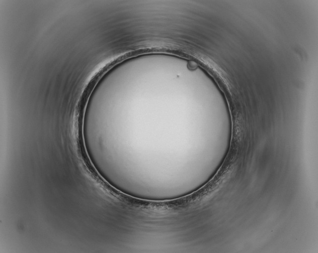 X0000112760983200909101527