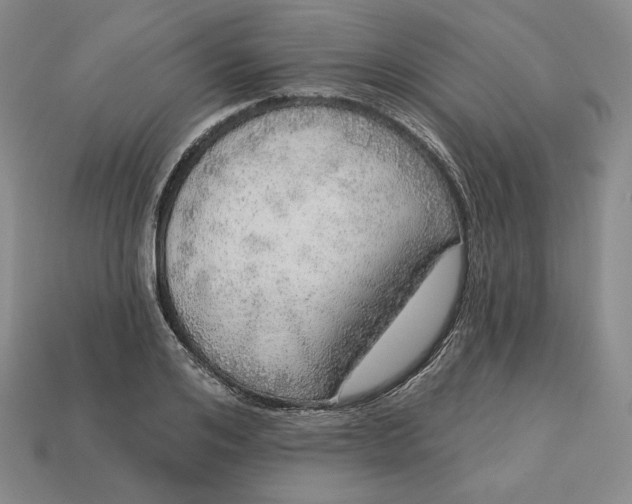 X0000112760984200909101527