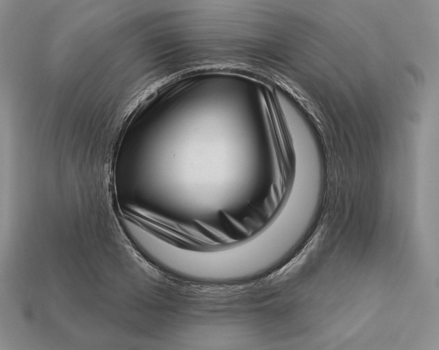 X0000112760985200909101527