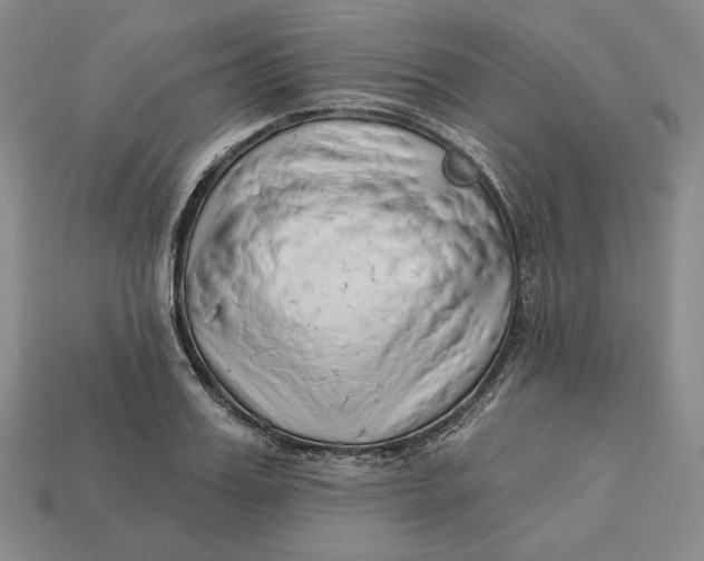 X0000112760987200909101527