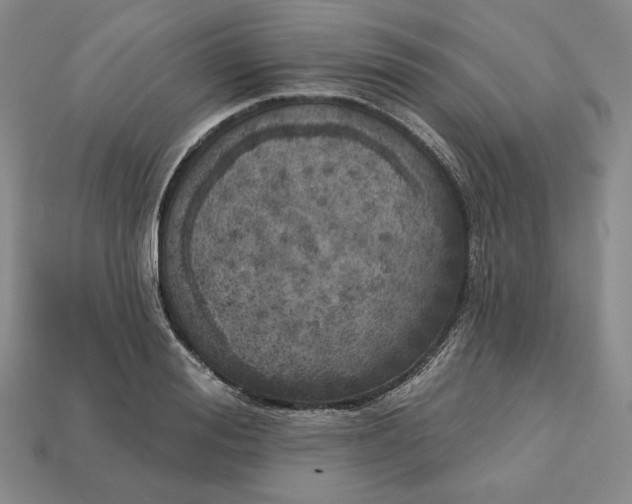X0000112760988200909101526