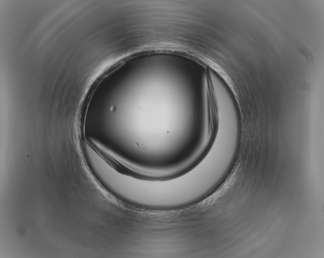 X0000112760989200909101526