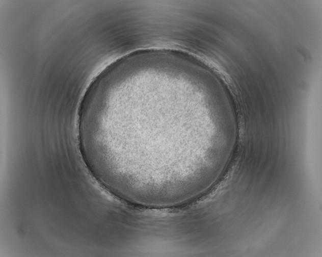 X0000112760990200909101526