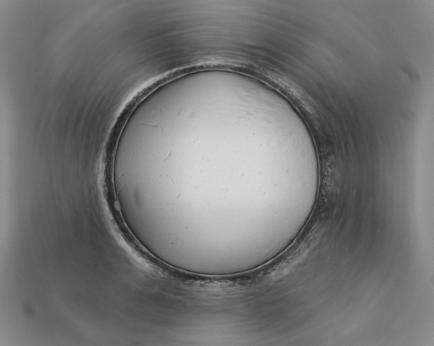X0000112760991200909101526