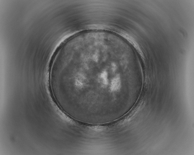 X0000112760992200909101526